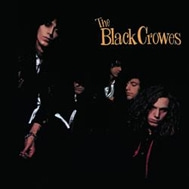 おざきゆうすけン家の棚no.34 THE BLACK CROWES | ABC Tomonokai